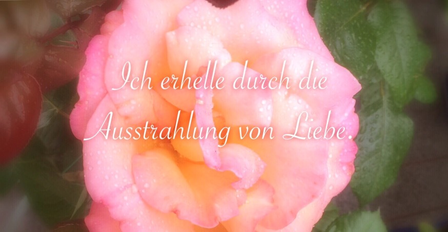 Selbstliebe und Potential